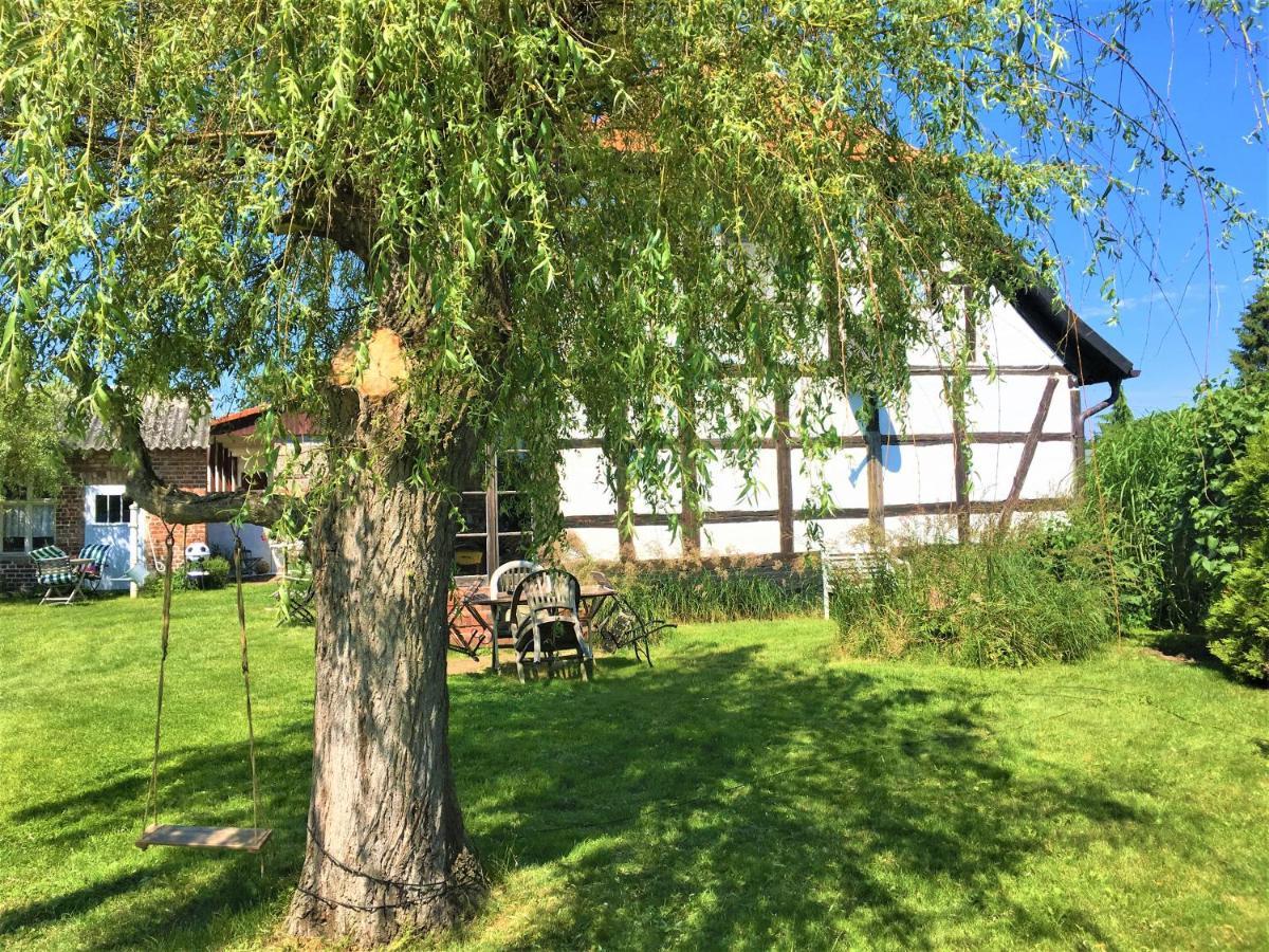 Fischerhaus Godewind 60 Qm Altwarp Eksteriør billede